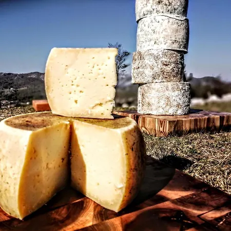 Irena Great For A Family With Free Parking And Ev Station Appartement