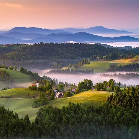 Appartement Irena Great For A Family With Free Parking And Ev Station