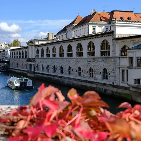 Irena Great For A Family With Free Parking And Ev Station Айдовшчина