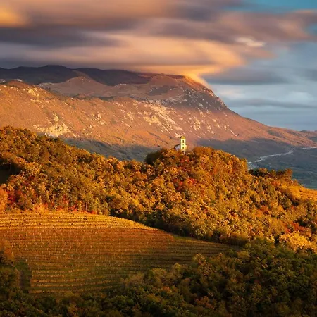 Irena Great For A Family With Free Parking And Ev Station Апартаменты