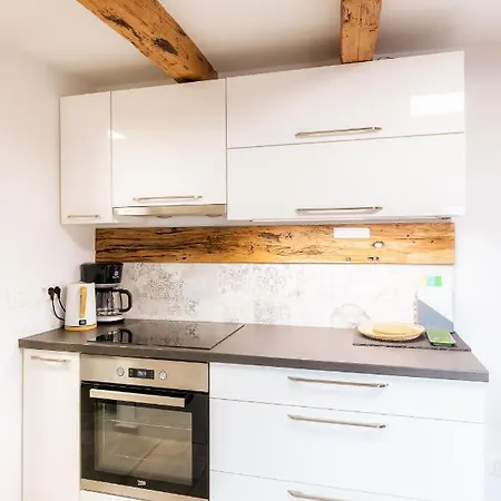 Irena Great For A Family With Free Parking And Ev Station Appartement Ajdovščina