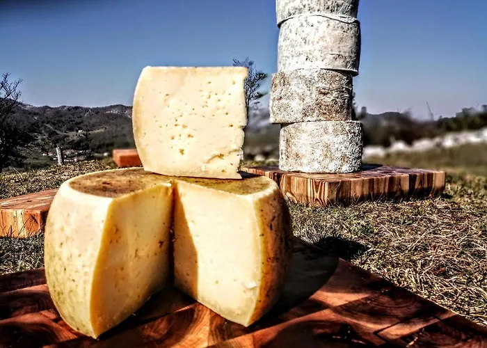 Irena Great For A Family With Free Parking And Ev Station Apartment