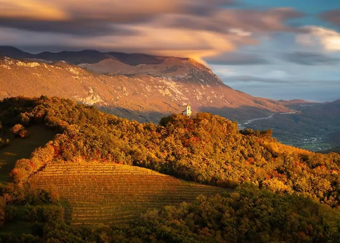 Irena Great For A Family With Free Parking And Ev Station Apartment