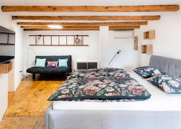 Irena Great For A Family With Free Parking And Ev Station Apartment